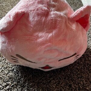 10” Plush Pink Cat Plush